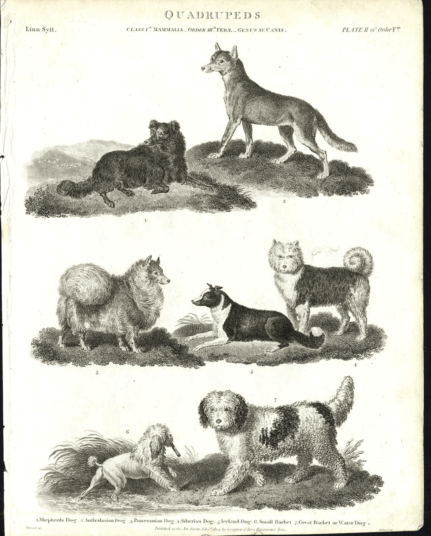 Historical illustrations