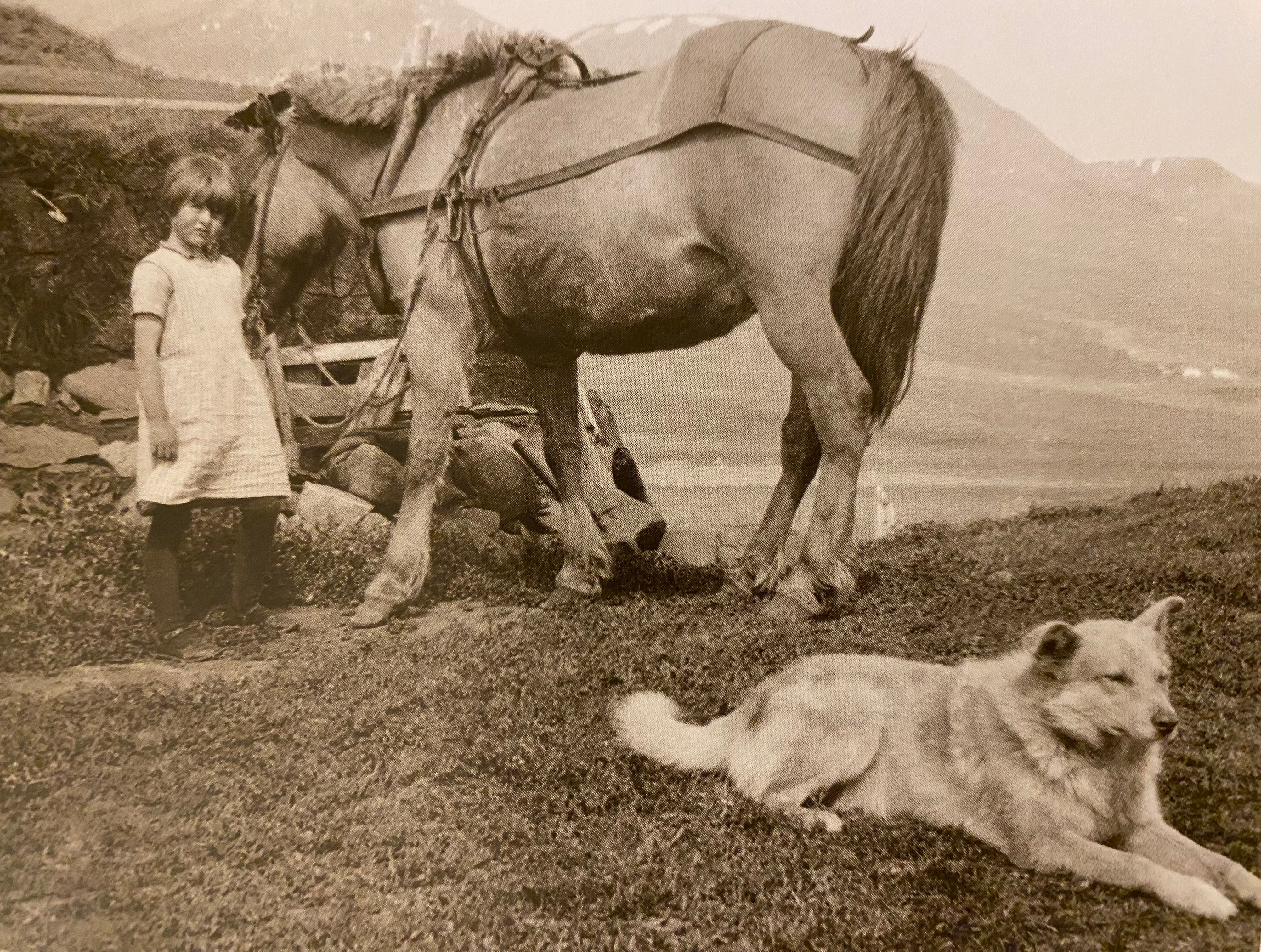 Description of Iceland, 1920