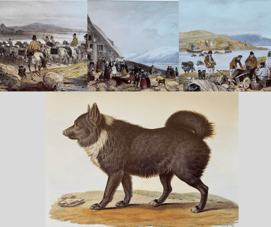 Mayers Images of Iceland 1836