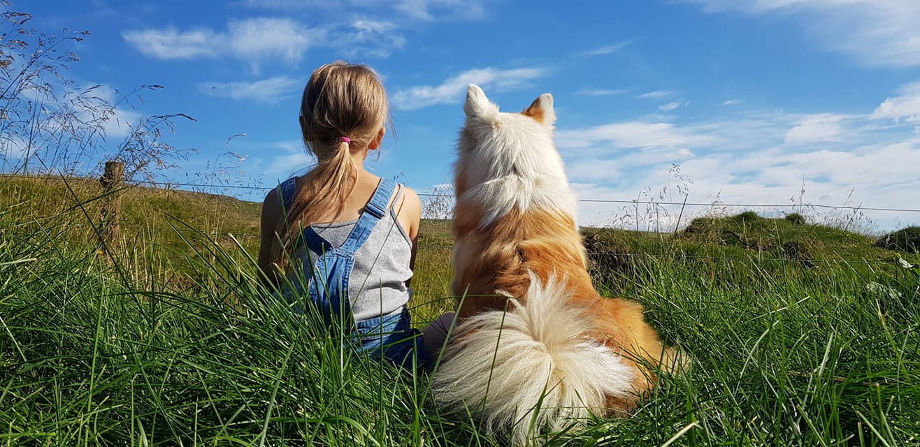 A Milestone for dog owners in Iceland